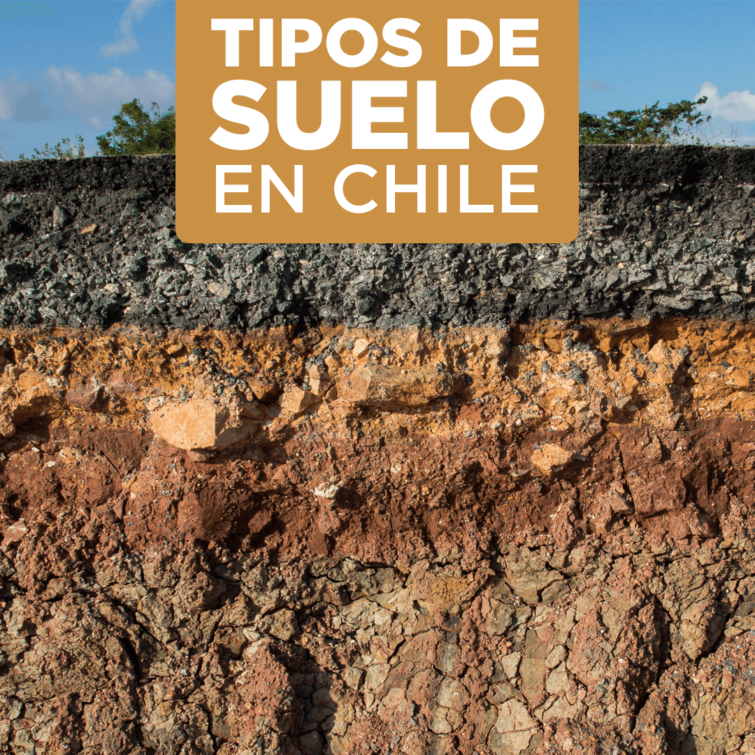 Los 8 tipos de suelo en Chile