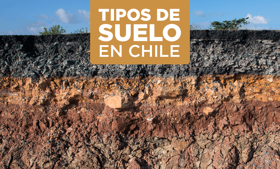 ¿Cuáles son los tipos de suelo en Chile?