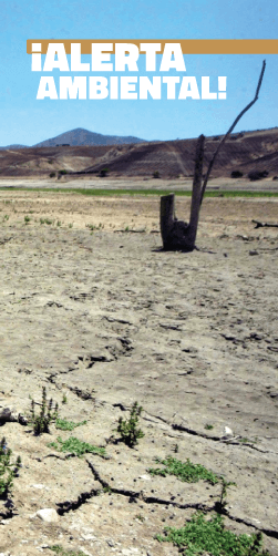 ¿Qué es la desertificación? + 6 maneras de frenarlo