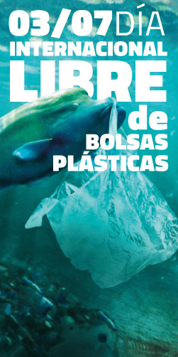 Bolsas de plástico: ¿por qué contaminan tanto?